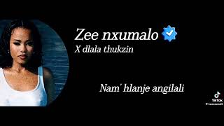 Zee nxumalo X Dlala Thukzin Unreleased #music #lekompooneway #duet 