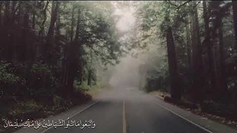 قرآن كريم بصوت سعد الغامدي || حالات واتس اب دينية