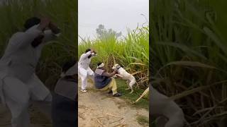try not to laugh 🤣 | epic fails | funny fails moments | Epic LOL Zone | #shortsfeed