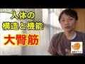 『大臀筋』の機能解剖