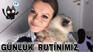 Kedi̇m İle Bi̇r Günlük Ruti̇ni̇m Kedi Bakmak Zor Mu Kolay Mı ? - Kedi Sahiplenmek