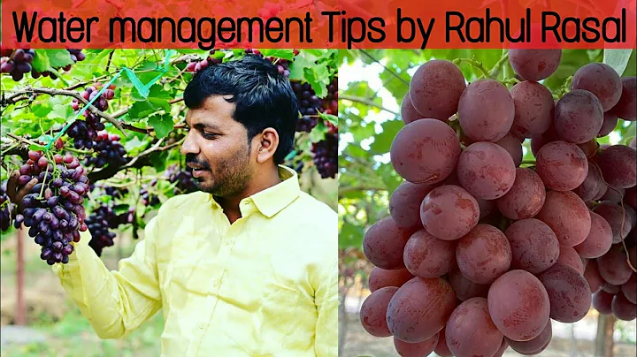 Water Management Tips shared By Rahul Rasal | Grap...