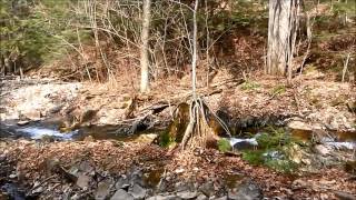 Fox's Falls and 'The View' - New to Naomi