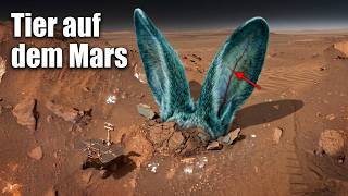 Forscher entdecken ein Tier auf dem Mars – Was ist das?