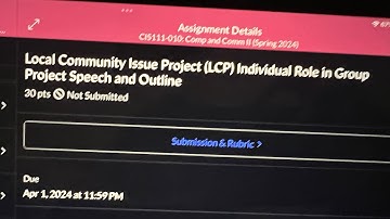 CIS 111 LCP indvidual role project video