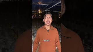 Kehororan Jaga Kandang Ayam Malam Hari