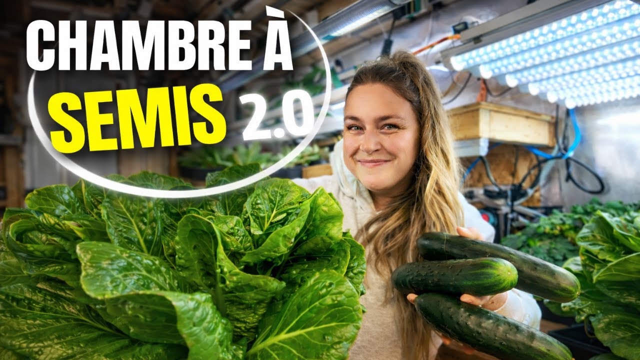 Comment on a amélioré notre chambre à semis pour la saison 2026!