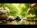 Relaxing Sleep Music and Soothing Nature Sounds 🌿 Meditation Music Relax Mind Body, Stress Relief