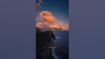تلاوة قصيرة تذهب بك إلى عالم آخر 💙💙
