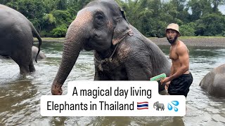 Download lagu Unforgettable Elephant Sanctuary Experience in Thailand