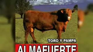 Video thumbnail of "Almafuerte - Toro Y Pampa"