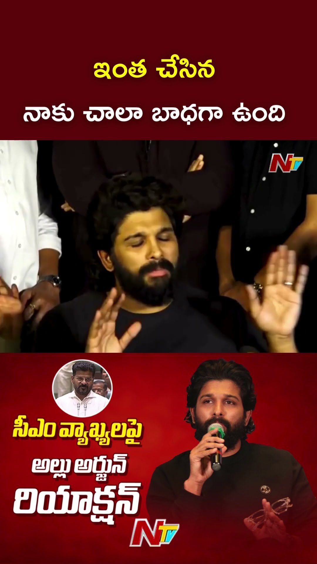 ఇంత చేసిన నాకు చాలా బాధగా ఉంది : Allu Arjun l NTV