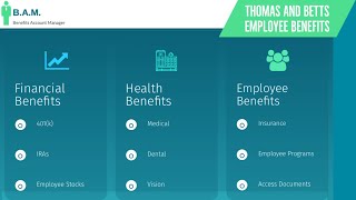 Thomas and Betts Employee Benefits | Benefit Overview Summary