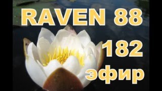 RAVEN 88 182 2