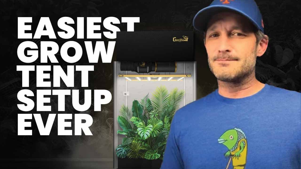 Easy Home Grow Tent Setup | Best Complete Grow Kit for Big Buds