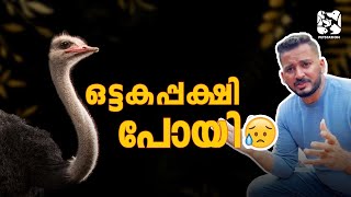 ഉമ്മുക്കുത്സു മരിച്ചു!! എന്ത്‌ പറ്റിയതാ??😱കുറുപ്പിന്റെ അപ്‌ഡേറ്റ്‌..