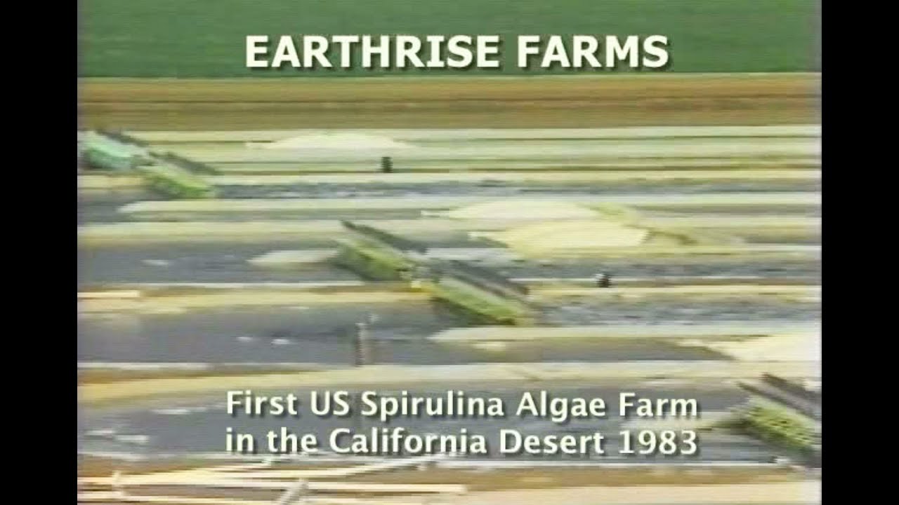 Earthrise • First Commercial Spirulina Farm in California • 1983 YouTube