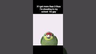 among us #memes #haveitoldyoulatelythatiloveyou #funny