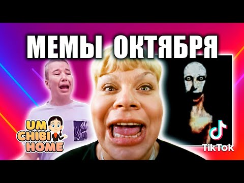 9 самых лучших мемов октября 2025 года