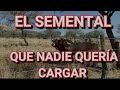 FUIMOS A ZACATECAS POR UN SEMENTAL BEEFMASTER DE REGISTRO