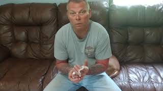 Super Mojave banana Python from balling wit pythons