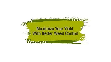Maximize Your Yield With Better Weed Control