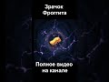 #1.5 Хроники душ Фроггит