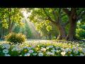 Beautiful Calming Music 🌿 Restore Your Nervous System &amp; Find Inner Peace