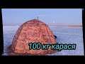 100 КГ. КАРАСЯ. РЫБАЛКА НА ЧАНАХ ЗАКРЫТИЕ СЕЗОНА. ПОСЛЕДНИЙ ЛЁД!!