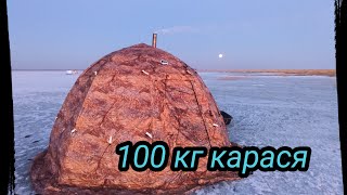 100 КГ. КАРАСЯ. РЫБАЛКА НА ЧАНАХ ЗАКРЫТИЕ СЕЗОНА. ПОСЛЕДНИЙ ЛЁД!!