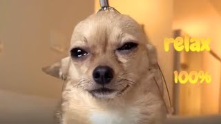 When Massage is too good