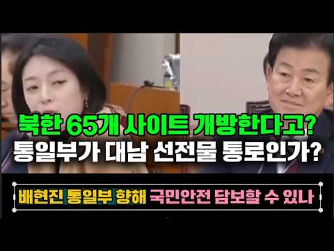 통일부가 대남 선전물 통로인가'… 배현진의 거침없는 팩폭"