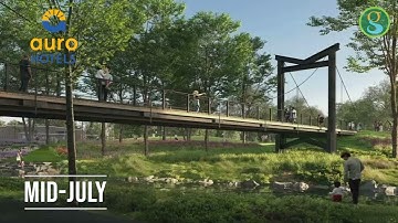 Unity Park Update: Bridges
