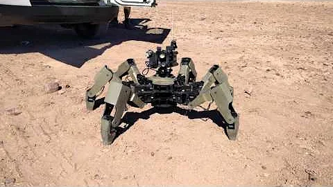 Orwell the Hexapod Robot