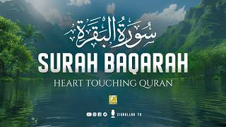 Surah Al-Baqarah Full (سورة البقرة) | ULTIMATE HEART TOUCHING QURAN RECITATION | Zikrullah TV