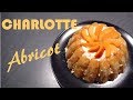 Charlotte aux Abricots