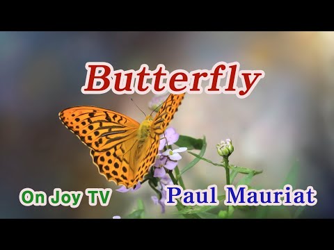 Paul Mauriat : Butterfly