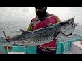 Monster Kingfish catching tips - How to Kingfish catch properly?