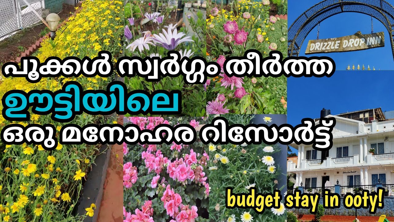 Budget Stay in Ooty | Best Resort in Ooty | DRIZZLE DROP INN 