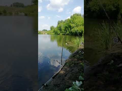 Video: Najväčšie rieky Chuvashia: Sura, Tsivil, Kubnya, Bula, Abyss