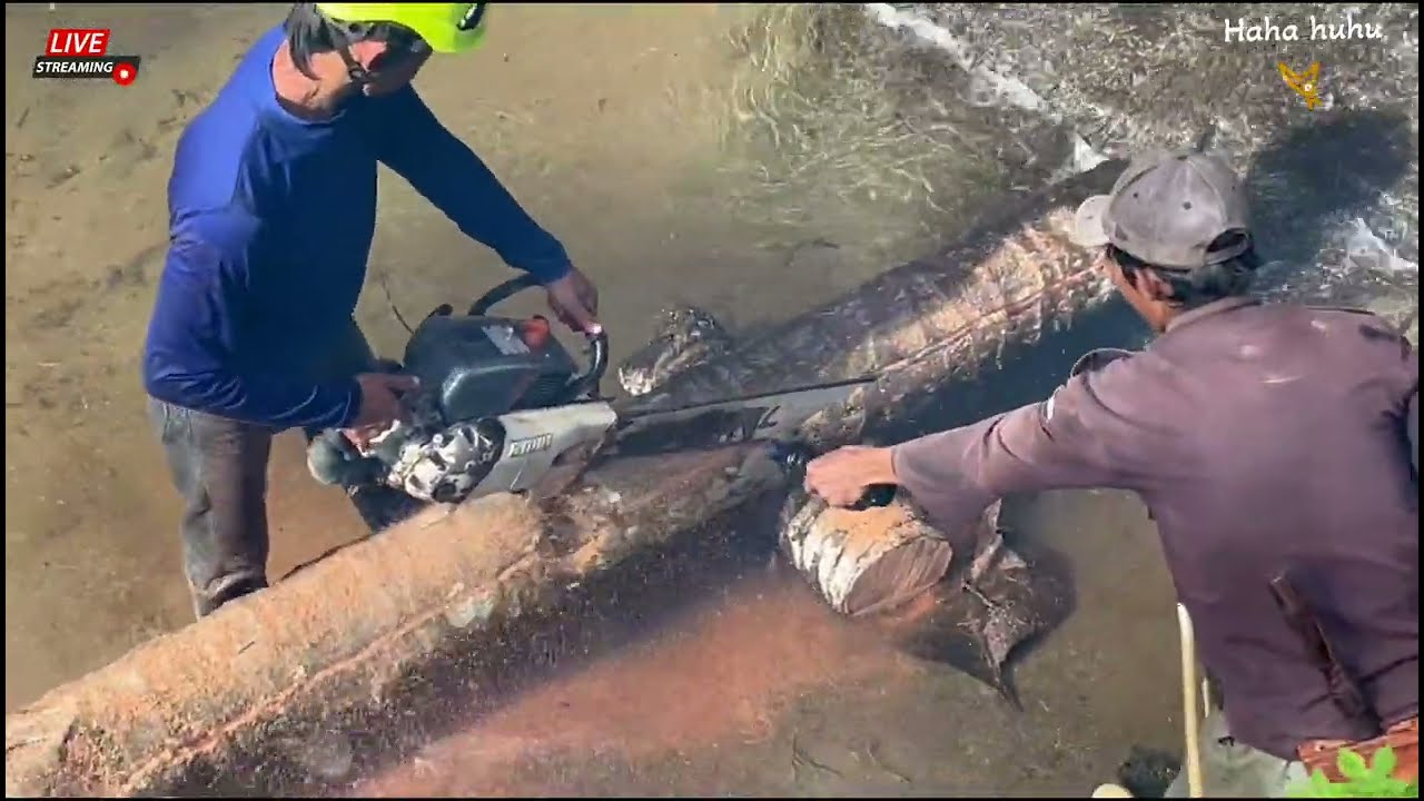 PEACEFUL WORK! SPLITTING COCONUT WOOD NEAR A SCENIC WATERFALL
