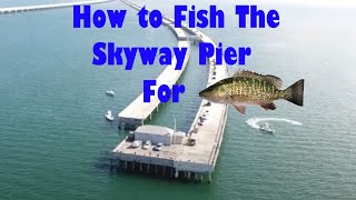 Download Lagu How to FISH The Skyway Fishing Pier!! Beginner's Guide MP3 Download Lagu How to FISH The Skyway Fishing Pier!! Beginner's Guide MP3