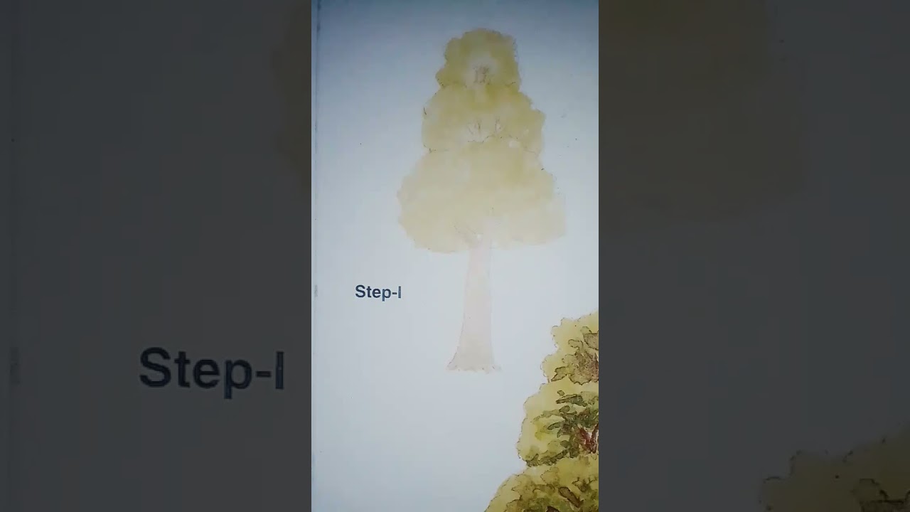 How to draw a tree YouTube