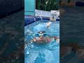 Talent speaks louder #swimming #cricket #fun#entertainment #gaming #swimmingpool #cricketlover #
