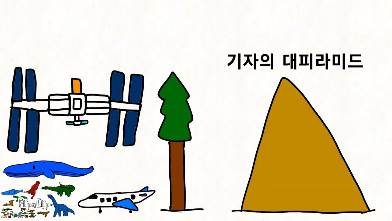 크기비교(동물, 고대생물, 건물, 우주 다 포함.)