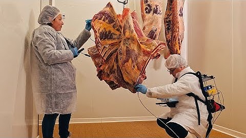 The Food Detectives : Lutter contre la fraude, de la ferme au boucher