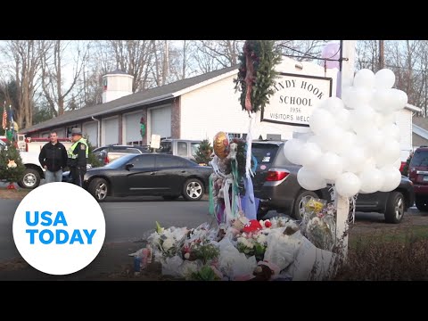 Sandy Hook families reach $73M settlement with gun manufacturer | USA TODAY