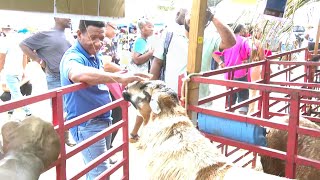 Call for Agrofest to be placed on tourism calendar