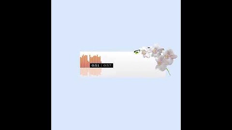 سورة الأنعام ~ حاتم المالكي