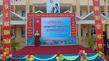 [TH05+] Lễ đón bằng công nhận đạt chuẩn Quốc gia - TH Phan Chu Trinh